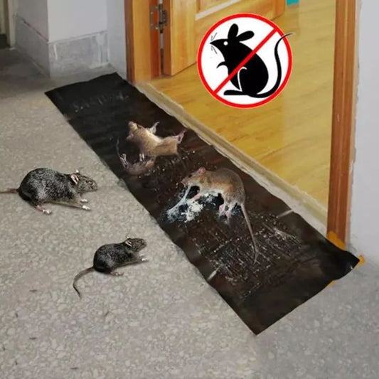 Black Rat Glue Trap – Strong Sticky Rodent & Mouse Mat